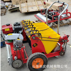 Sembradora Agrícola Shandong Changhong de 6 Filas para Plantar Ajo, Automática para Plantación en Campo - Product Image 1