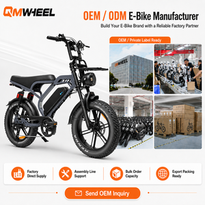 จักรยานเสือภูเขาไฟฟ้า QMWHEEL V20 รุ่นลิมิเต็ด 48V พร้อมแบตเตอรี่จักรยานไฟฟ้า 48V สำหรับตัวแทนจำหน่ายขายส่ง OEM ODM - Product Image 1