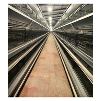 Offre Spéciale : Cage à Poulets Automatique Type H à 4 Niveaux, Équipement d'Élevage Galvanisé pour 20 000 Poulets, Idéal pour Projets d'Exploitation Avicole en Afrique