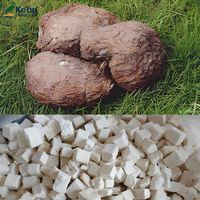 Poria cocos Poria Cocos White Poria Fungus Poria Cubes Fu Ling Sans soufre Sans additif 100% Naturel