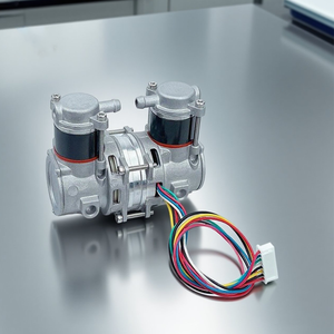 5l ऑक्सीजन जनरेटर स्k60d12 मॉडल 12v 24v मिनी तेल रहित कंप्रेसर सिर - Product Image 3