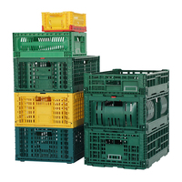 Panier en plastique pliable empilable à haute résistance alimentaire pour l'agriculture et la chaîne du froid