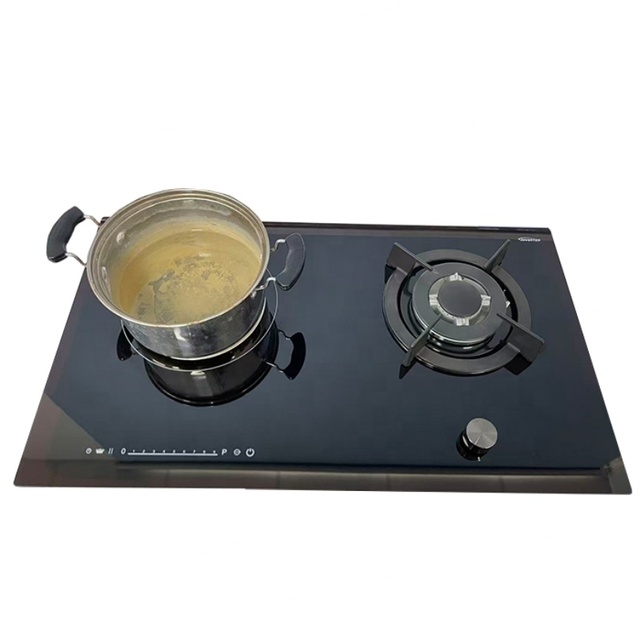 Built in New Style 2 Burner Induction Cooker and Gas Induction