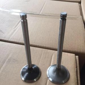 3920867 3920868 3802355 3802356 Valve moteur à pointe 6D102 6BT 4BT en 42*8*129 EX 45*8*129.2 - Product Image 3