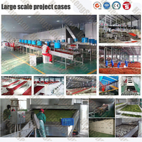 Industriële fruitdroger met gasverwarming, 380V, automatisch, bandtype, voor voedselverwerking