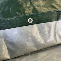 Bâche en PE imperméable laminée verte-argent 4x5m