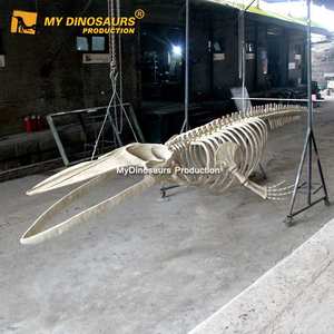 MyDino Colgando Animal Marino 8M <span class=keywords><strong>Esqueleto</strong></span> <span class=keywords><strong>Ballena</strong></span> Azul - Product Image 6