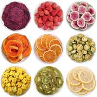 Witte Drakenvrucht Schijfjes, Laag in Suiker, Hoog in Vezels, Perfect voor Snacks OEM Private Bulk Witte Drakenvrucht Schijfjes