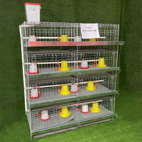 Cage à poulets de type H galvanisée à chaud à faible coût, cage d'élevage de volailles multicouche pour équipement d'élevage de poulets de petite et moyenne taille