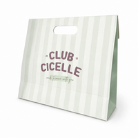 Sac en papier vert clair rayé avec poignée découpée, en carton blanc, pour vêtements, vente au détail, échantillons de beauté, emballage cadeau, directement de l'usine
