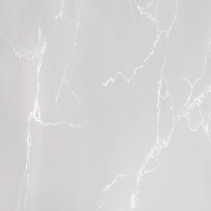 Lastre di pietra di quarzo di EASTGEM: ottime per macellerie e aree espositive di carne - Product Image 1