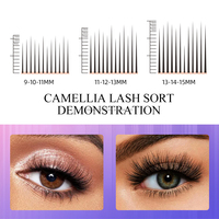 Extension de cils camélia personnalisée 0.05 0.07 Manga camélia Volume cils Base lâche C CC D DD LC LD Curl faux cils