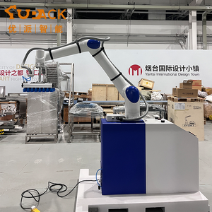 Empilage de cartons, faible encombrement et intégration facile, s'intègre aux lignes d'emballage existantes, petit palettiseur collaboratif - Product Image 3