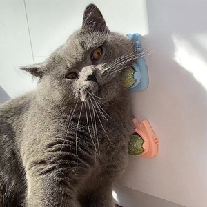 360 ° <span class=keywords><strong>Catnip</strong></span> para gatos Wall <span class=keywords><strong>Catnip</strong></span> Rollerball Bola para lamer Cat Nips Mint on Wall <span class=keywords><strong>Crack</strong></span> Balls Lickable Play Masticar Limpieza de dientes - Product Image 1