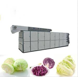 Prix de vente d'usine de haute capacité séchoir à ceinture en maille dw continu pour machine de séchage de nourriture au gingembre frais piment - Product Image 2