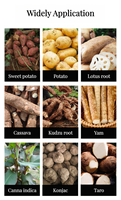 Vente chaude : Machine de broyage de manioc, broyeur électrique, séparateur de scories et de boue, machine d'extraction et de broyage d'amidon de manioc et de pomme de terre