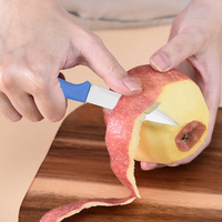Ensemble de 6 couteaux à éplucher, lame en acier inoxydable, manche en plastique, outil de cuisine avec emballage en boîte colorée pour couper les fruits et les légumes