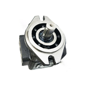 Pompe à engrenages hydraulique à enroulement interne à déplacement fixe et compensation intermittente série HG Chine - Product Image 1