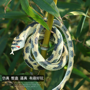 UV Printed <b>Snake</b> Soft Rubber Toy Long Plastic Animal Prank Prop For Children <b>Fake</b> <b>Snake</b> Wholesale - Product Image 4