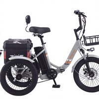 Nouveau modèle ER-214 Vélo à neige électrique pour adulte avec assistance au pédalage, moteur avant, pneus larges, tricycle, alimenté par batterie au lithium, panier utilitaire