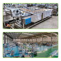 Machine à fabriquer des chips de patate douce 100 kg/h 300 kg/h 500 kg/h, ligne de transformation de chips de patate douce, ligne de production de chips de patate douce