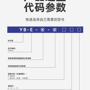 ปั๊มวาล์ว YLC รุ่น YB-E16 E25 E32 E40 E50 E63 E80 E100 E125 ปั๊มน้ำมันสำหรับเปลี่ยนซ่อม - Product Image 3
