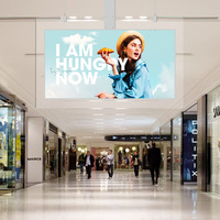 Écran d'affichage numérique double face LCD/LED à suspendre avec SDK pour usage intérieur dans les centres commerciaux et la signalisation directionnelle