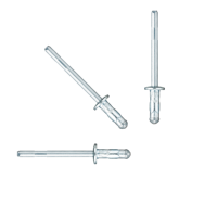 Structure polyvalente unique de rivets multigrip de couleur aveugle d'acier inoxydable