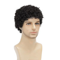 Perruque Afro Synthétique Réglable et Moelleuse pour Hommes et Femmes, Idéale pour Cosplay, Anime, Fêtes d'Halloween, Perruques Fantaisie Amusantes, Transparente, Petite Taille 150%