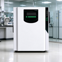 Incubateur de laboratoire CO2 pour la culture cellulaire et bactérienne, alarme intelligente de surchauffe par micro-ordinateur