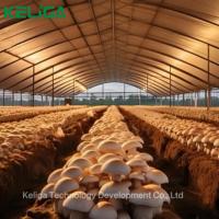 Fabricant spécialisé dans les serres tunnel pour la culture des champignons