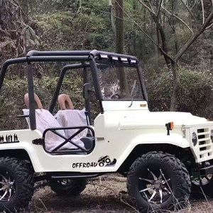 Mini Jeep de 350cc con Autonomía de 80KM para Ecoturismo y Recorridos por Parques Safari - Product Image 1