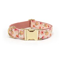 Op maat gemaakte gepersonaliseerde polyester hondenhalsband en tuigje set, fruit- en bloemenprint, Instagram-stijl, verstelbaar, wasbaar, eigen label voor