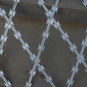 <span class=keywords><strong>Alambre</strong></span> de púas de hierro galvanizado doble concertina de bajo precio y más vendido <span class=keywords><strong>para</strong></span> protección en prisiones - Product Image 2