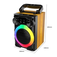 Système d'enceintes colonne GENCE Soundcore RGB LED avec batterie intégrée pour karaoké portable, 12 canaux sonores