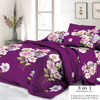 Parures de draps imprimées 3-en-1 en microfibre avec 2 taies d'oreiller, couleur personnalisée, draps plats 100TC durables, vente en gros