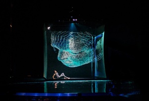 Écran de projection holographique Pepperscrim3D 3,6x6m, <span class=keywords><strong>image</strong></span> holographique pour extérieur - Product Image 3