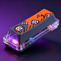 Customized Personalized Plastic Keycaps for Keyboards - Hollowed Out, Luminous or Aged - Are Suitable for Mechanical Keyboards