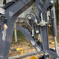 Mini-excavatrice hydraulique compacte certifiée CE, économique et fiable, avec moteur Yanmar, pompe et capacité de tranchage haute performance