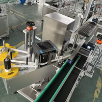 Máquina Etiquetadora de Impresión y Aplicación Controlada por PLC Skilt para Línea de Empaquetado de Cartón Corrugado