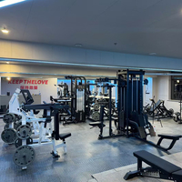 Máquina de Ejercicios Multifuncional de Titanio con Estructura de Acero, Características de Seguridad, Entrenamiento de Fuerza para Espalda y Brazos, Uso Comercial
