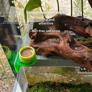 Tazón de Pared para Puré de Frutas para Dragones Barbudos, Geckos y Camaleones, Lavable a Máquina, Tazón de Alimentación con Suplemento de Calcio - Product Image 4