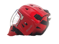 Casque de gardien de but de hockey sur glace avec coque en PC, visière personnalisée, protection intégrale du visage pour jeunes et adultes, logo personnalisé disponible