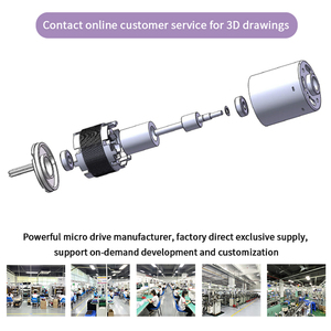 <span class=keywords><strong>Moteur</strong></span> BLDC miniature électrique 36 mm 12 24 volts, petit <span class=keywords><strong>moteur</strong></span> à couple élevé, micro <span class=keywords><strong>moteur</strong></span> CC sans balais 12v 24v - Product Image 2