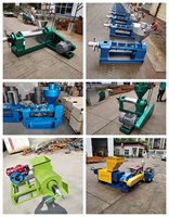 Nieuwe YAHUA 1 ton/uur Automatische Hoge-Efficiëntie Duurzame Diesel Palmolie Persmachine Enkelvoudige Helix Palmvruchten Extractor Koolstof