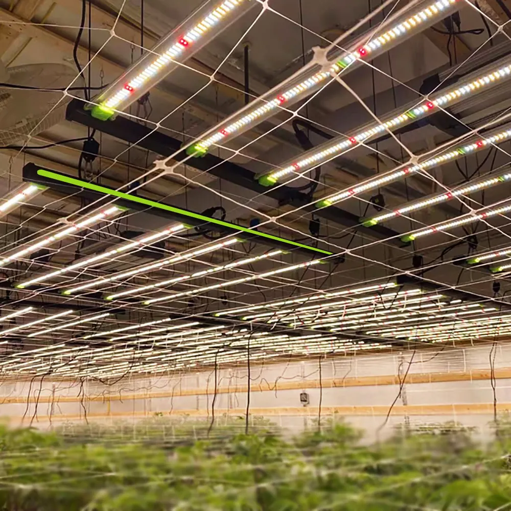 주도 성장 빛 제조 업체 직접 공급 디 밍이 가능한 720W 전체 스펙트럼 성장 라이트 바 실내 식물