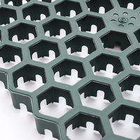 Grille d'allée Système de pavage en gravier Grille d'herbe en plastique Grille de stabilisation du sol Prix bas