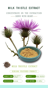 Лучшая цена экстракт расторопши 80% Силимарин - Product Image 5