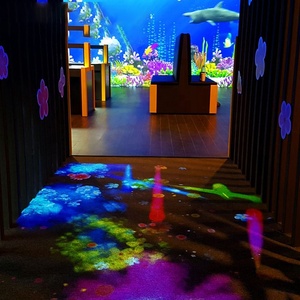 Projecteur de <span class=keywords><strong>sol</strong></span> <span class=keywords><strong>interactif</strong></span> pour enfants <span class=keywords><strong>jeux</strong></span> de Projection multijoueur pour parc d'attractions - Product Image 2