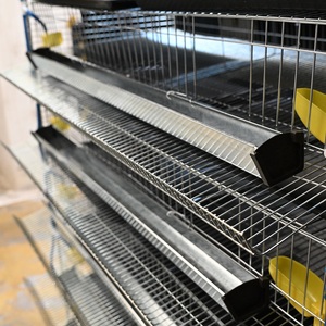 Nuova Attrezzatura per Allevamento di Animali e Pollame, Gabbia per Quaglie e Galline Ovaiole in Filo d'Acciaio a Basso Tenore di Carbonio, Capacità 200-400, Lunga Durata - Product Image 3